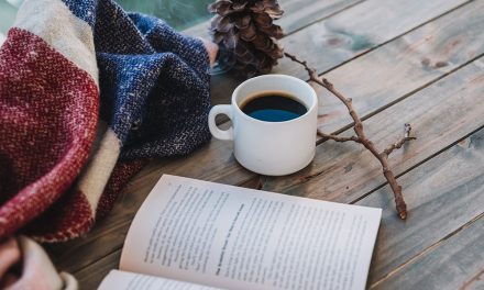 5  cărți de citit în vacanța de iarnă (utile Freelancerilor)